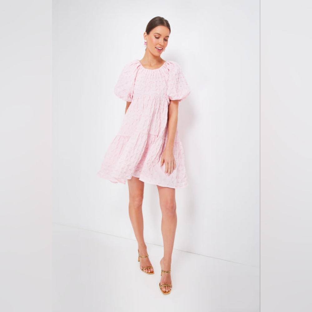 NWT Tuckernuck Hyacinth House Isabella in Pink Diamond Textured Mini Dress L - Picture 3 of 14